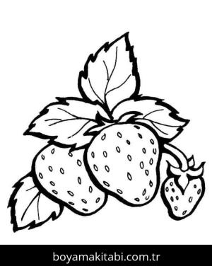 Çilek boyama sayfası – basit çizim, kolay boyama