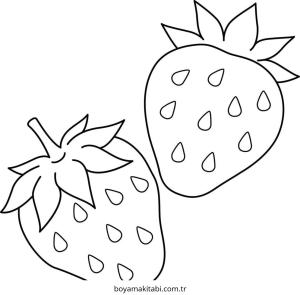 Çilek Boyama