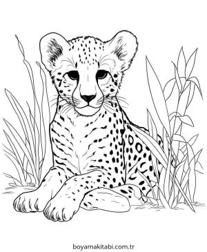 Çita boyama sayfası – sevimli karakter, sanatsal çalışma