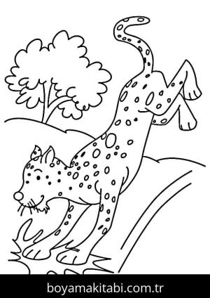 Çita boyama sayfası – sanatsal çalışma, çocuklar için
