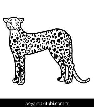 Çita boyama sayfası – çocuklar için, çizgi film temalı