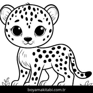 Çita boyama sayfası – renkli çizimler, okul öncesi