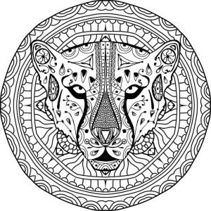 Çitanın boyama sayfası,  coloring page, Çita Yetişkinler içindir, 