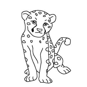 Çitanın boyama sayfası,  coloring page, Çita çizimi, 