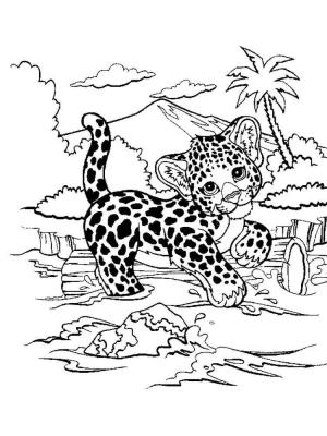 Çitanın boyama sayfası,  coloring page, Nehirde çita, 