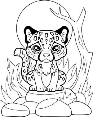 Çitanın boyama sayfası,  coloring page, Kayanın Üzerinde Oturan Bebek Çita, 