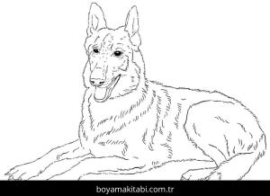 Çoban Köpeği boyama sayfası – boyama etkinliği, çocuk aktivitesi
