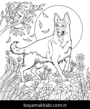 Çoban Köpeği boyama sayfası – boyama etkinliği, çocuk aktivitesi