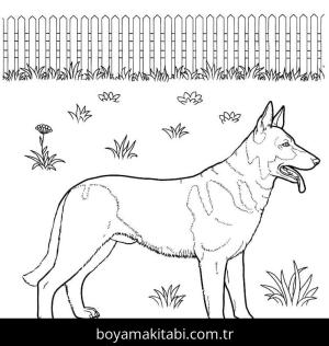 Çoban Köpeği boyama sayfası – renkli çizimler, okul öncesi
