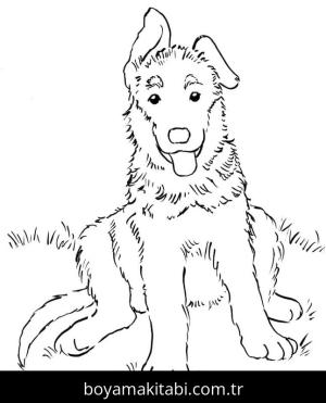 Çoban Köpeği boyama sayfası – kolay boyama, eğitici aktivite