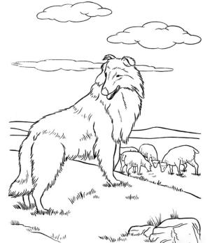 Çoban boyama sayfası,  coloring page, Yazdırılabilir Alman Çoban Köpeği, 