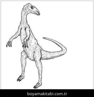 Coelophysis Dinazor boyama sayfası,  coloring page, , Coelophysis Dinosaur 3