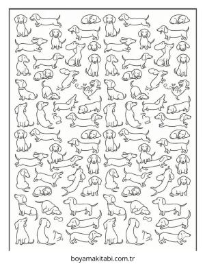 Dachshund boyama sayfası – boyama etkinliği, çocuk aktivitesi