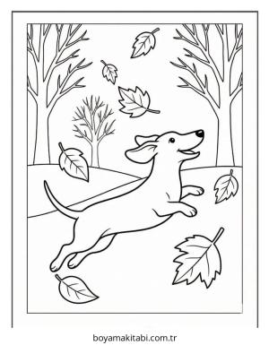 Dachshund boyama sayfası – okul öncesi, evde etkinlik