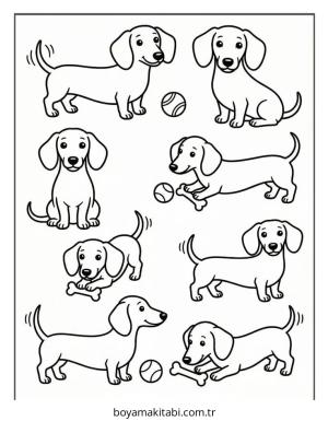 Dachshund boyama sayfası – boyama etkinliği, çocuk aktivitesi