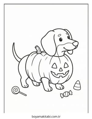 Dachshund boyama sayfası – basit çizim, kolay boyama