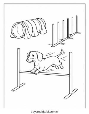Dachshund boyama sayfası – el becerilerini geliştirir, boyama çalışması