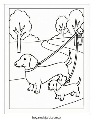 Dachshund boyama sayfası – renkli çizimler, okul öncesi