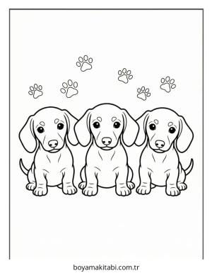 Dachshund boyama sayfası – el becerilerini geliştirir, boyama çalışması