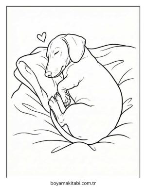 Dachshund boyama sayfası – ücretsiz yazdır, boyama etkinliği