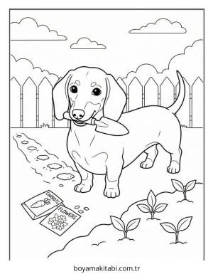 Dachshund boyama sayfası – eğitici aktivite, yaratıcılık