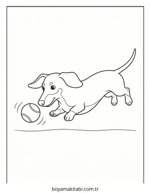 Dachshund boyama sayfası – çocuk aktivitesi, PDF indir