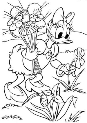 Daisy Duck boyama sayfası,  coloring page, Daisy Duck çiçekli, 