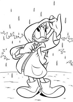 Daisy Duck boyama sayfası,  coloring page, Yağmurdaki Daisy, 