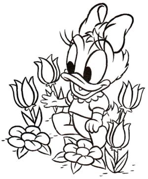 Daisy Duck boyama sayfası,  coloring page, Bebek Daisy, 