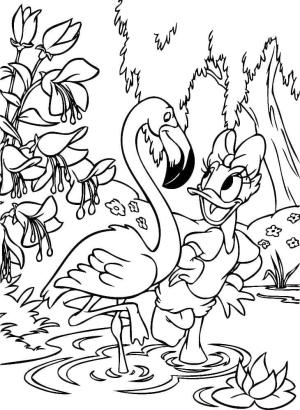 Daisy Duck boyama sayfası,  coloring page, Flamingo ve Daisy Duck, 