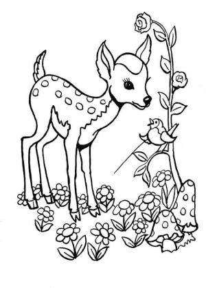 Geyik boyama sayfası,  coloring page, Bebek Geyik Sevimli, 