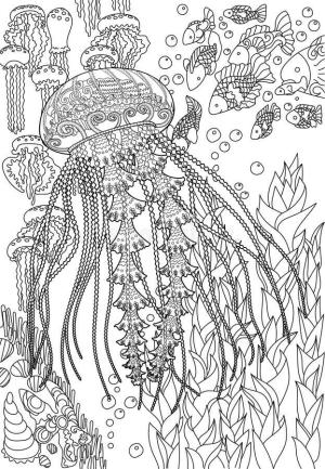 Deniz Anası boyama sayfası,  coloring page, Denizanası Mandala, 