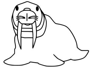 Deniz Aygırı boyama sayfası, Walrus coloring page, , 