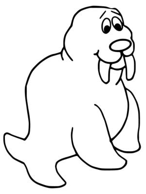 Deniz Aygırı boyama sayfası, Walrus coloring page, , 