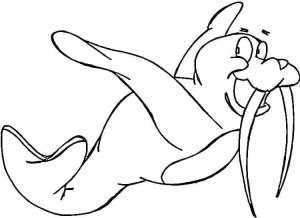 Deniz Aygırı boyama sayfası, Walrus coloring page, , 