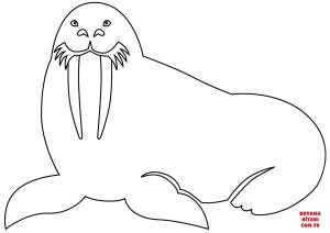 Deniz Aygırı boyama sayfası, Walrus coloring page, , walrus walrus 