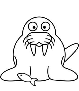 Deniz Aygırı boyama sayfası, Walrus coloring page, , 