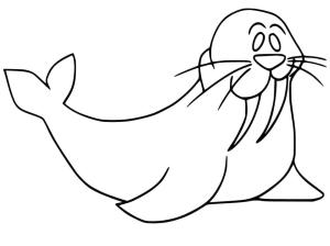 Deniz Aygırı boyama sayfası, Walrus coloring page, , 