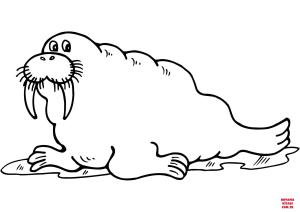 Deniz Aygırı boyama sayfası, Walrus coloring page, , walrus cartoon walrus 