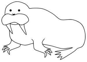 Deniz Aygırı boyama sayfası, Walrus coloring page, , 