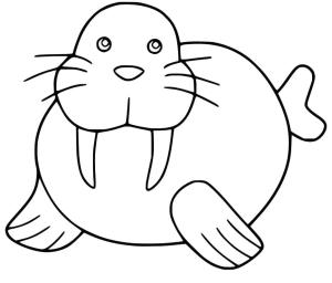 Deniz Aygırı boyama sayfası, Walrus coloring page, , 