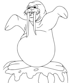 Deniz Aygırı boyama sayfası, Walrus coloring page, , 