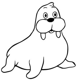 Deniz Aygırı boyama sayfası, Walrus coloring page, , 