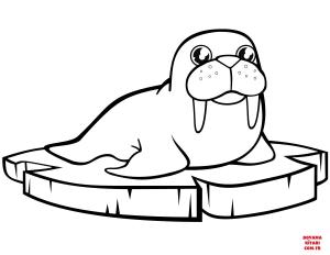 Deniz Aygırı boyama sayfası, Walrus coloring page, , walrus cartoon walrus on the ice floe 