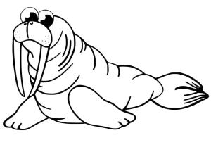 Deniz Aygırı boyama sayfası, Walrus coloring page, , 