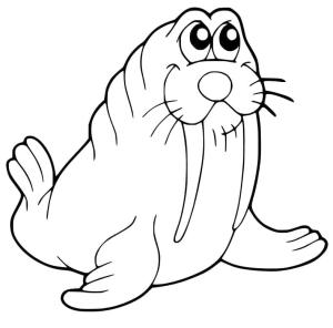 Deniz Aygırı boyama sayfası, Walrus coloring page, , 