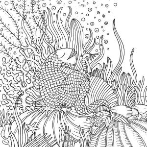 Deniz Canlılar boyama sayfası,  coloring page, Pullu deniz canlısı, 