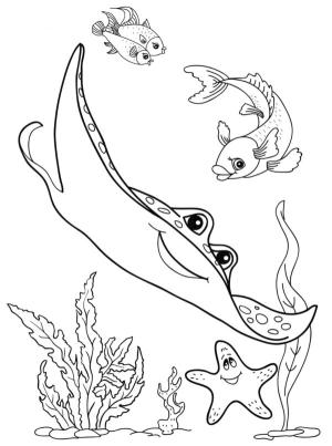 Deniz Canlılar boyama sayfası,  coloring page, Deniz yatağının çeşitliliği, 