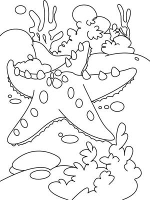 Deniz Canlılar boyama sayfası,  coloring page, Denizin dibinde dev deniz yıldızı, 