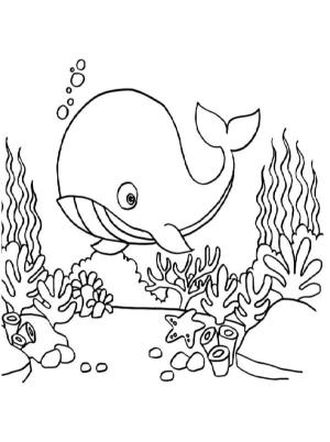 Deniz Canlılar boyama sayfası,  coloring page, Zengin deniz yatağı, 